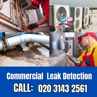 Commercial Leak Detection Services in World's End | World's End Leak Detection