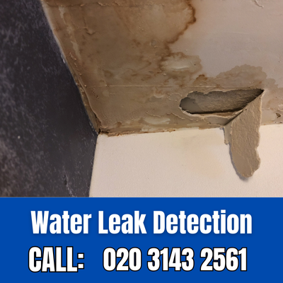 Expert Water Leak Detection Services in World's End | World's End Leak Detection